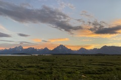 IMG_1061