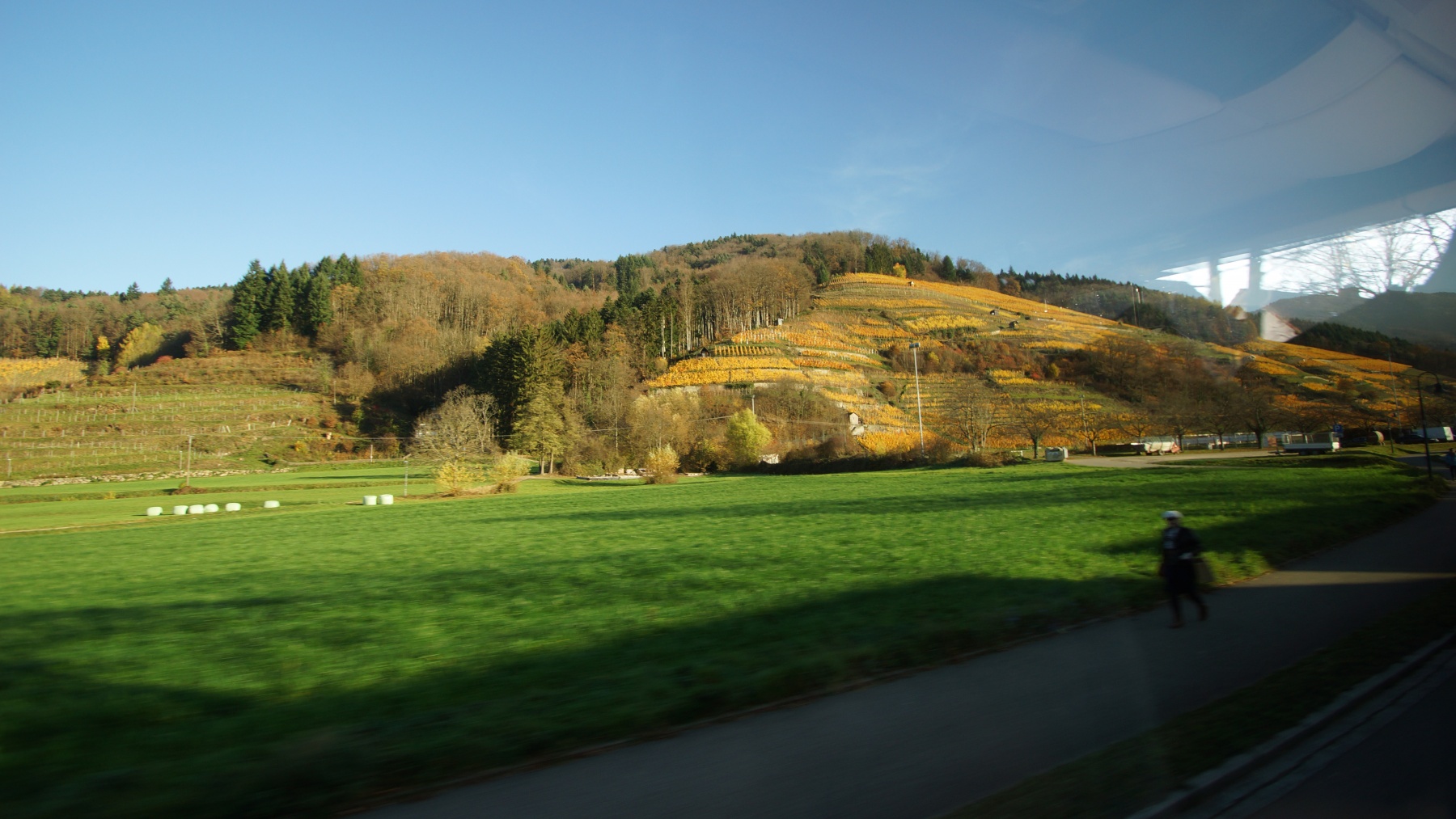 DSC03685
