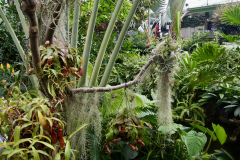 DSC07777