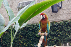 DSC07782