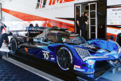 Konica  Minolta Acura - Wayne Taylor Racing - GTP